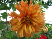 IMG_1659 40.webp