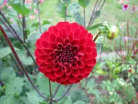 IMG_1660 40.webp