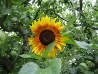 IMG_1662 40.webp