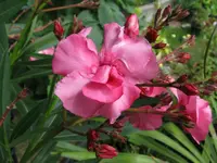 IMG_1669 40.webp
