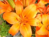 JD500011.webp