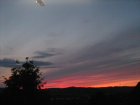 IMG_2167.webp