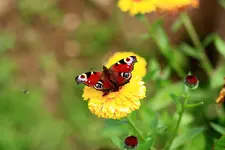 comp_IMG_7494.webp