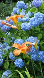 004.webp