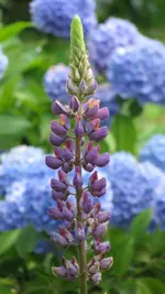 012 (2).webp