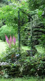 042.webp