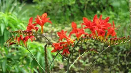 060.webp