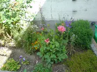 DSC00872.webp