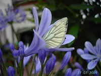 PICT4419.webp