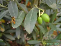 PICT4480.webp