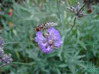 PICT4586.webp