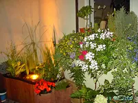 PICT4523.webp
