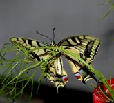 ab19 027.webp