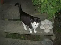 Kontrollgang v.webp