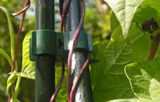 2009  Garten -7-4-2 001-1.webp