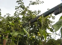 2009  Garten -7-4-2 006-1.webp