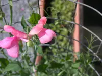 DSCN7460.webp