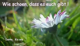 wie schoen, dass es euch gibt!.webp