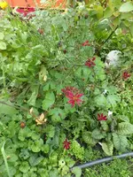P1550061.webp