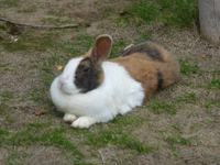 P1540650.webp