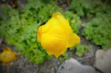 DSCF4017 (2).webp