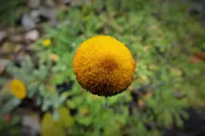DSCF4024 (2).webp