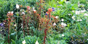 DSCN2689.webp