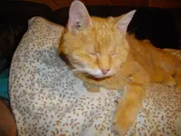 IMGP2074.webp