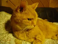 IMGP2075.webp