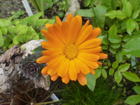 P1550067.webp