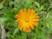 P1550068.webp