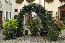 DSCF3964.webp