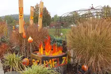 DSCF3897.webp