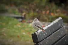DSCF3995 (2).webp