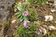 DSCF4026.webp