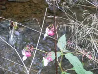 CIMG1615.webp