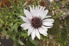 DSCF4021.webp