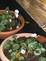 001_600x800.webp
