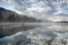 4-0008.webp