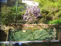 CIMG2163 (2).webp