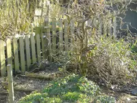 CIMG9821.webp