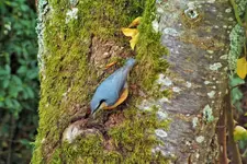 DSCF4048 (2).webp