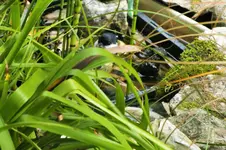 DSCF4051 (2).webp