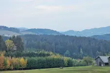 herbe.webp