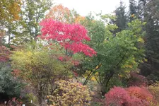 DSCF3999.webp