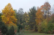 DSCF4033.webp