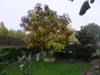 DSCF9104.webp