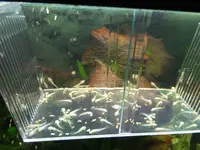 DSCF9231.webp