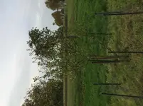 Datei 21.10.15, 17 15 48.webp