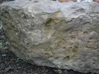 PA210751.webp